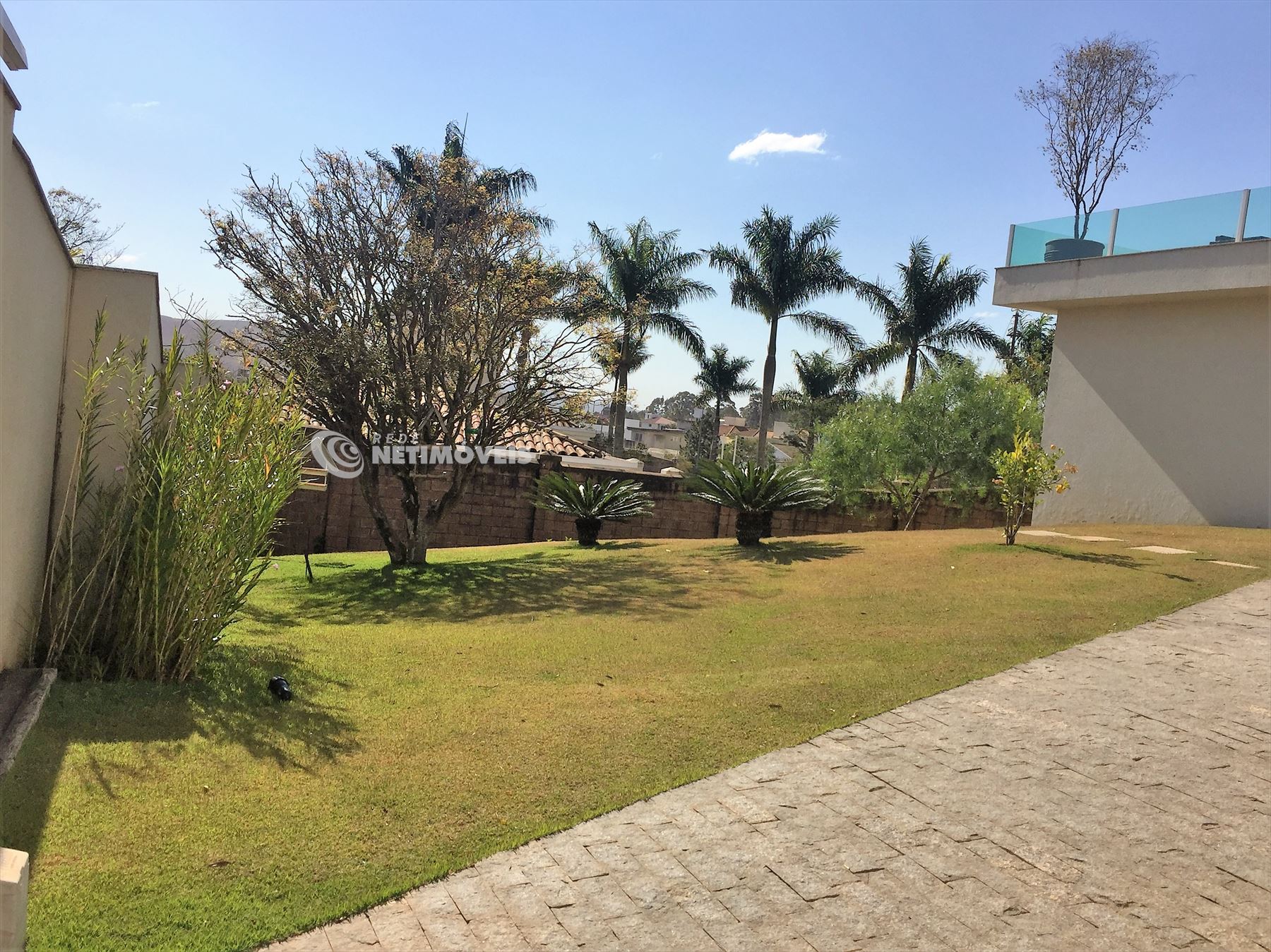 Jardim e pé jabuticaba