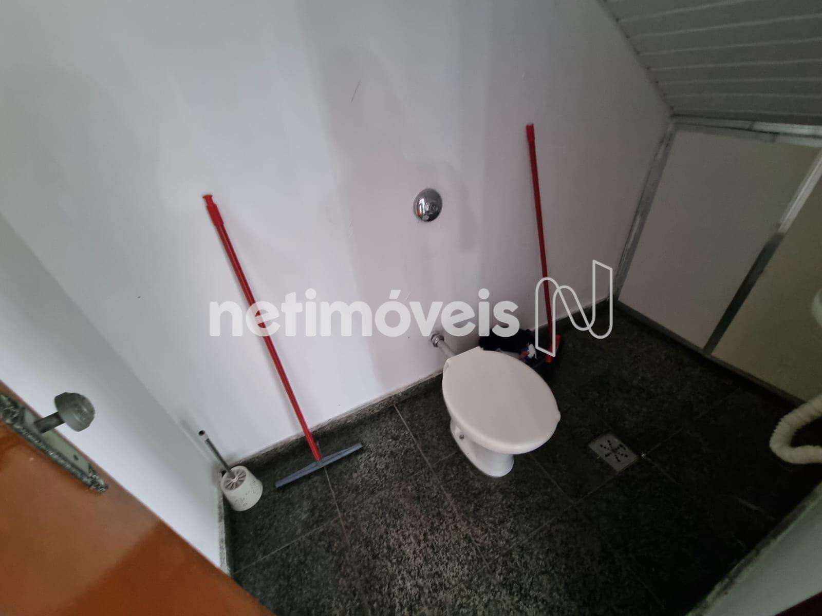 Banho Social da Loja